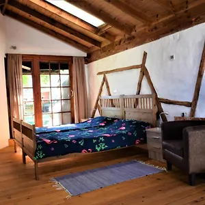 Casa Madera , Icod De Los Vinos España